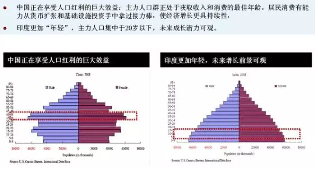 中国和印度的人口结构